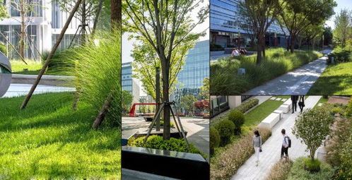 創(chuàng)新與融合 建科園林景觀在工業(yè)園區(qū)的生態(tài)實(shí)踐