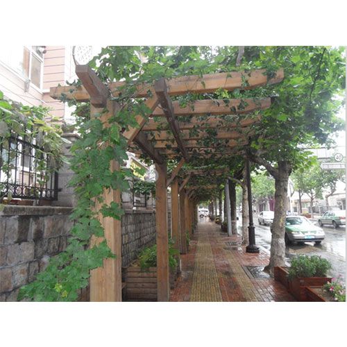 林曌軒樟子松防腐木廊架 融合自然美學(xué)與堅(jiān)固品質(zhì)的景觀設(shè)計(jì)